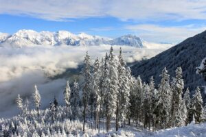 カニ食べ放題の温泉宿で冬の雪景色を楽しむには？