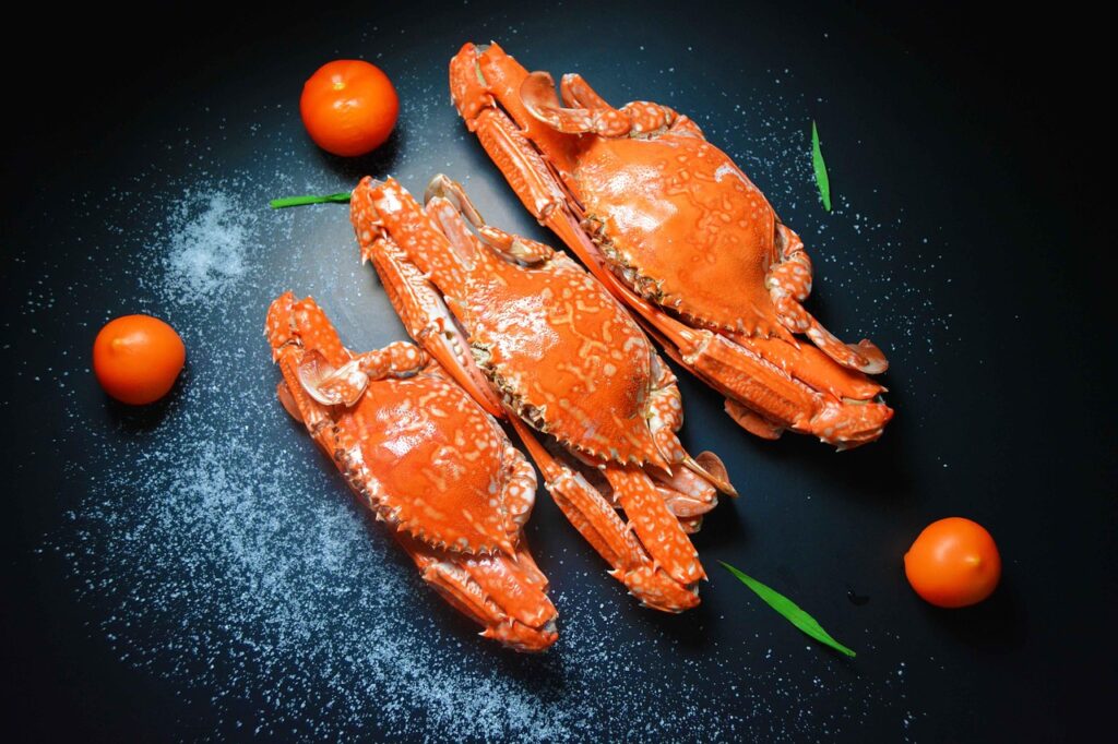 蟹 食べ放題 温泉でのタグ付き蟹追加オプションは本当にお得？