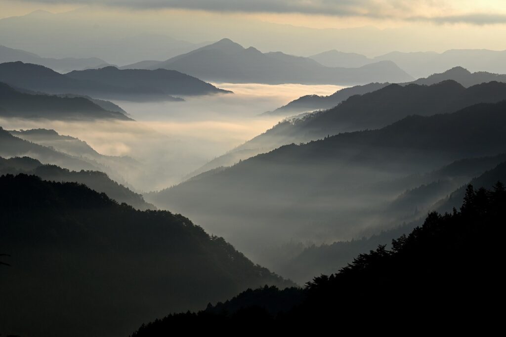 カニ旅行のおすすめはどこ？